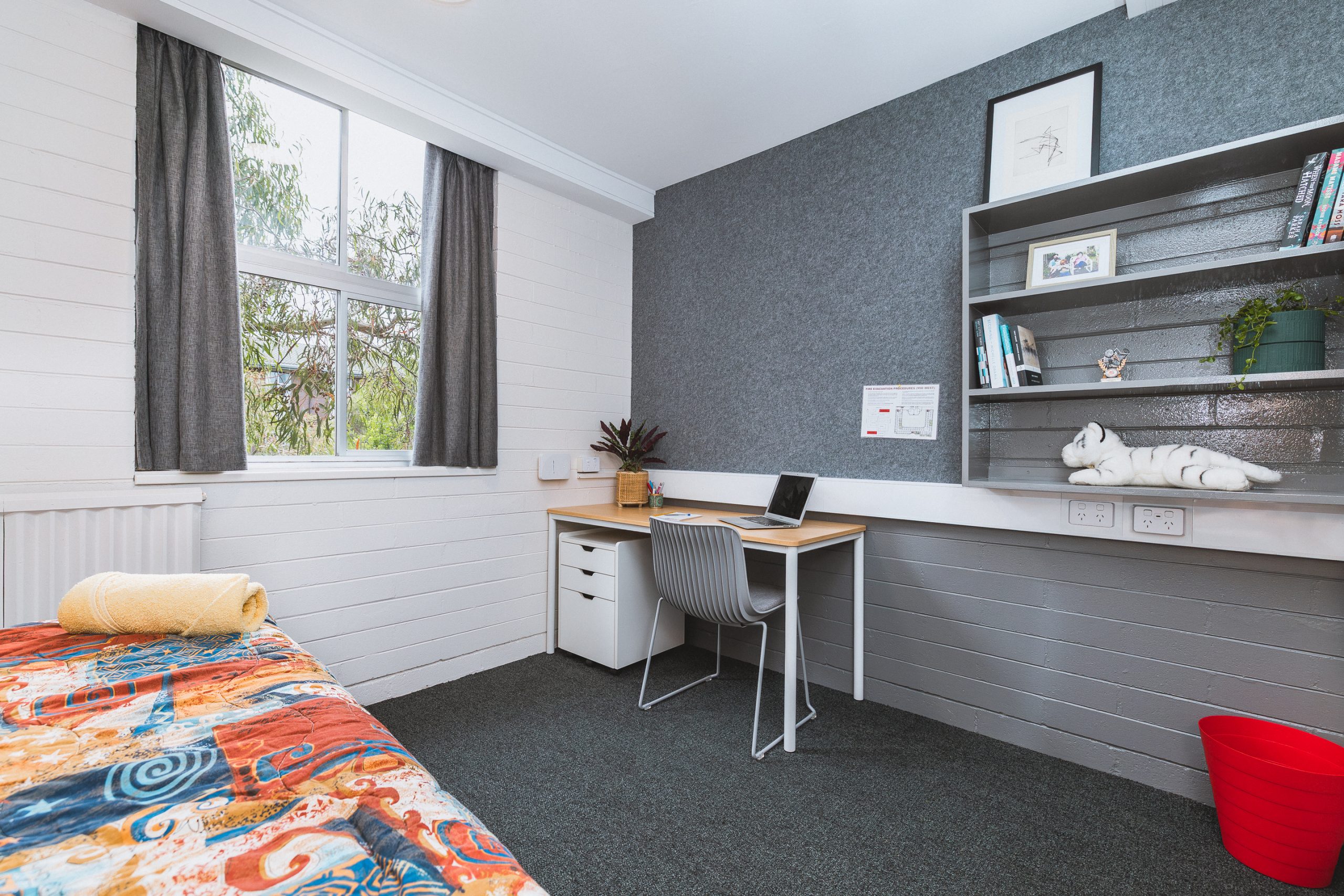 Mannix-Renovation-009